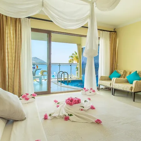 Cachet - Adult Only +14 Otel